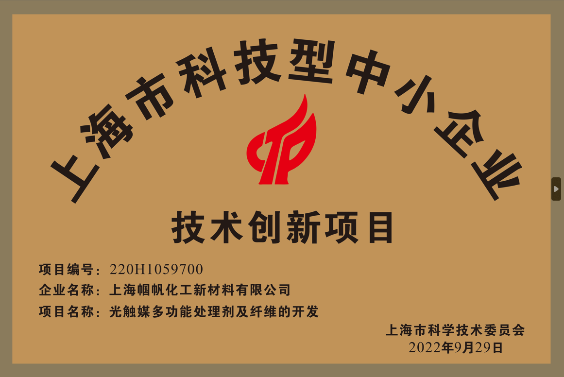 上海帼帆-上海市科技型中小企业技术创新项目